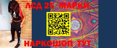spice Славгород